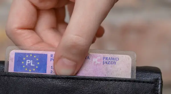 Dłoń wkłada do portfela polskie prawo jazdy. Nie można go kupić, trzeba je zdobyć legalnie.