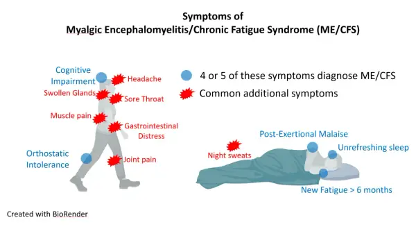 ME/CFS: Objawy, PEM, diagnoza. Czy to już choroba?