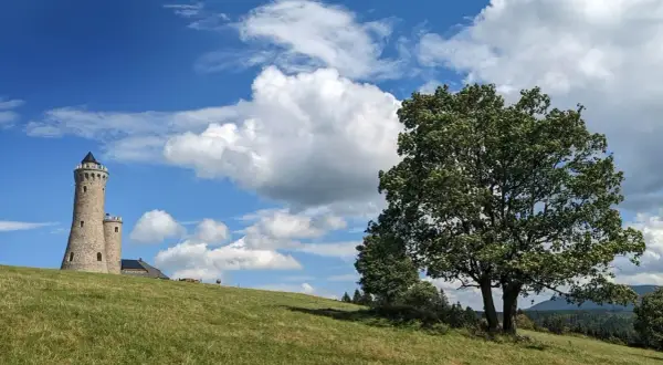 Kamienna, przebudowana wieża na pograniczu góruje nad zielonym wzgórzem. Obok mniejsza wieżyczka i budynek. Na pierwszym planie rozłożyste drzewo.