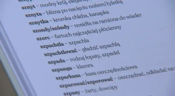 Słownik gwary bydgoskiej: odkryj unikalne słowa. Znasz je?