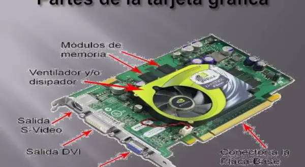 Tarjeta gráfica con ventilador, módulos de memoria, salidas S-Video, DVI, SVGA y conector a la placa base.