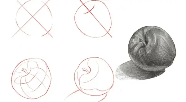 Ilustración de dibujos paso a paso de una manzana, desde bocetos iniciales hasta un dibujo sombreado realista.