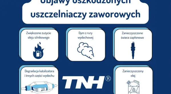 Objawy uszkodzonych uszczelniaczy zaworowych: dym z rury, zwiększone zużycie oleju, zanieczyszczone świece i olej, degradacja katalizatora.