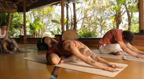 Grupa osób praktykuje jogę kundalini w otwartym pawilonie. Wszyscy pochylają się do przodu, wyciągając ramiona.