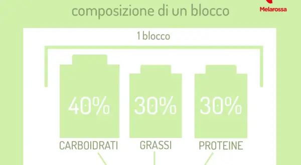 La dieta a zona illustra la composizione di un blocco: 40% carboidrati, 30% grassi, 30% proteine.