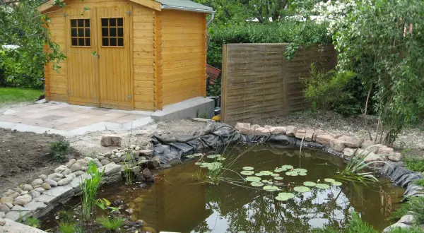 Un bassin d'agrément avec des nénuphars, une cabane en bois et une clôture en bois créent un espace paisible, préservant l'intimité du voisin.