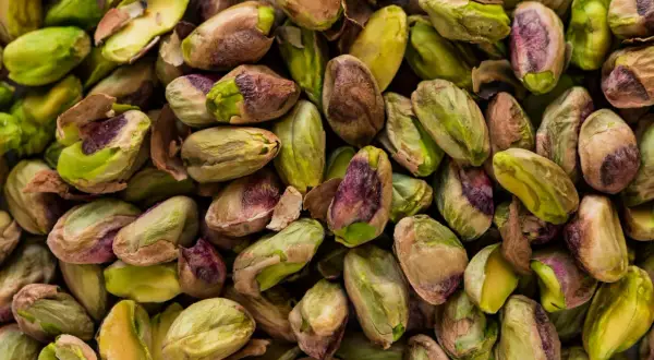 Mnóstwo łuskanych pistacji, zielonych i fioletowych. Czy pies może jeść pistacje? Lepiej nie ryzykować, bo mogą być szkodliwe.