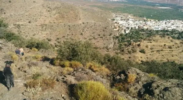 Un perro negro y una persona disfrutan de la vista de la jirola abrucena, un pueblo blanco en un valle árido.