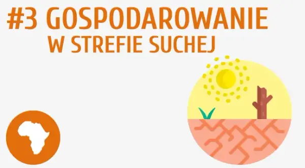 Jak rozwiązać problem głodu w Afryce? Przyczyny i skuteczne strategie