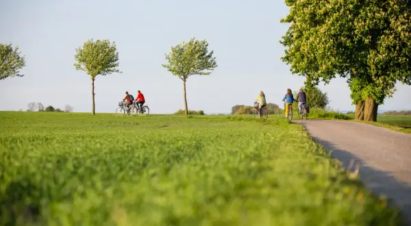 Cykeltur genom Skånes gröna landskap, perfekt för en vistelse på ett vandrarhem Skåne.
