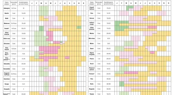 Calendrier des semis de céréales et légumes : Semis sous abri, en place, en pépinière et récolte pour de nombreuses espèces potagères.