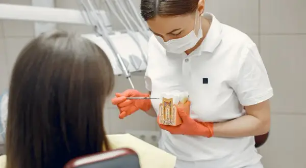 Dentystka w rękawiczkach pokazuje pacjentowi model zęba, wyjaśniając procedurę hemisekcji zęba.
