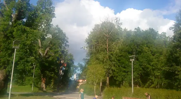 Barn leker i fruktparken Liljeholmen bland gröna träd och en blå himmel med moln.
