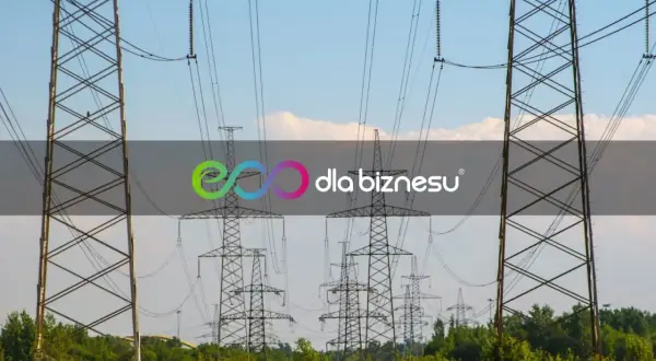 Wysokie słupy energetyczne z liniami wysokiego napięcia na tle błękitnego nieba.