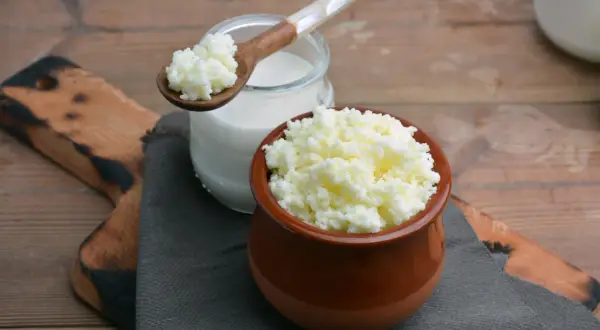Ziarna kefirowe w glinianym naczyniu i na drewnianej łyżce. Zastanawiasz się, jaka śmietana jest najzdrowsza? Kefir to świetny wybór!