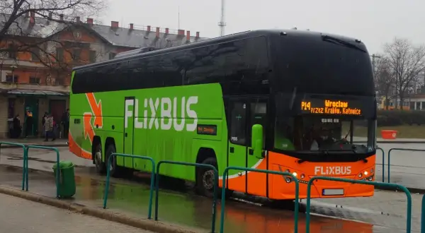 PolskiBus z psem? (Teraz FlixBus) Czy Twój pupil może jechać?