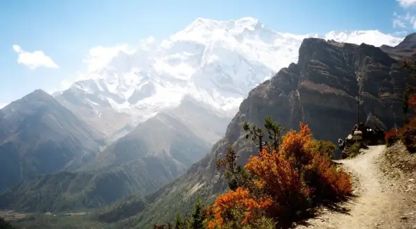 Herbstliche Farben im Vordergrund, dahinter majestätische schneebedeckte Gipfel. Ein Pfad schlängelt sich durch die Landschaft. Nepal im November.