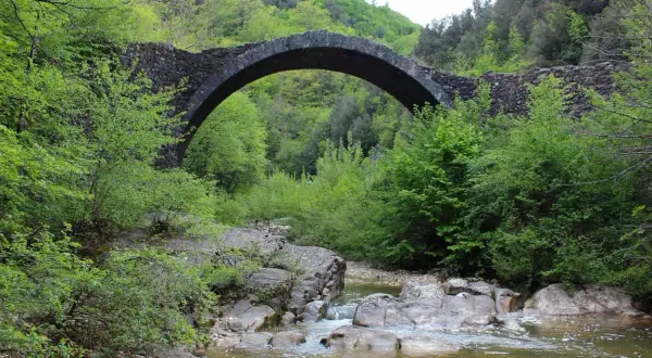 Antico ponte della Pia in pietra, con un arco maestoso, sovrasta un ruscello tra la rigogliosa vegetazione primaverile.