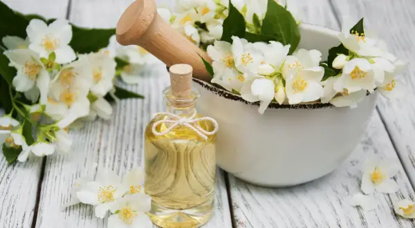 Jasminöl in einer Flasche, umgeben von Blüten. Die Jasmin Wirkung auf die Psyche ist beruhigend und stimmungsaufhellend.