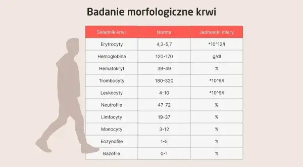 Tabela badań morfologicznych krwi. Wskazuje normy dla erytrocytów, hemoglobiny, hematokrytu, trombocytów, leukocytów. Podwyższone leukocyty mogą świadczyć o infekcji.