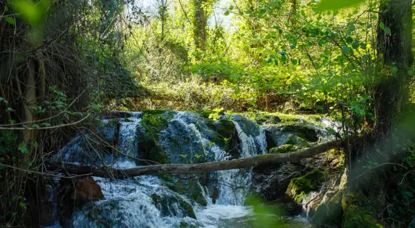 Cascada en la ruta de los Baños de Popea, con vegetación exuberante y agua cristalina cayendo sobre rocas cubiertas de musgo.