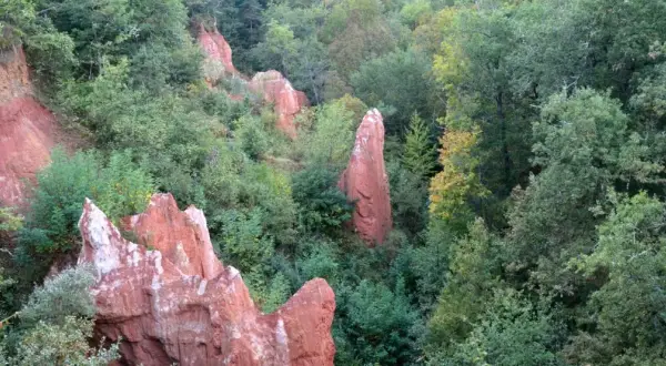Rochers ocreux et végétation luxuriante dans la vallée des saints boudes. Un paysage minéral et végétal contrasté.