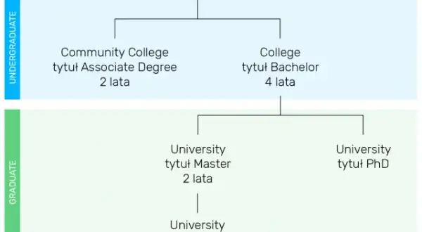 Czy po studiach licencjackich można iść na dowolne studia magisterskie? Sprawdź wymagania