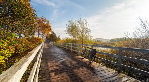 Drewniany mostek na trasie Euro Velo, z rowerem czekającym na podróż przez jesienne krajobrazy.