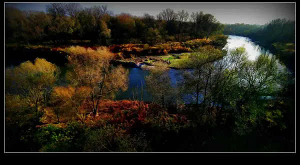 Jesienne graniczne meandry Odry, z drzewami w złocistych barwach i błękitną wodą rzeki.
