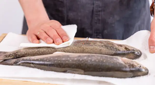 Zwei frisch gefangene Saiblinge werden auf Küchenpapier gelegt. Ein Mann trocknet einen der Fische ab.