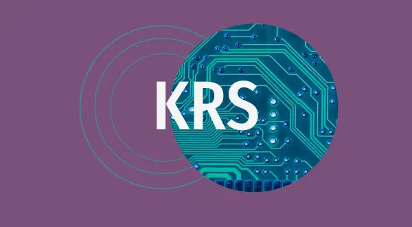 Jak czytać KRS: Kluczowe informacje, które musisz znać