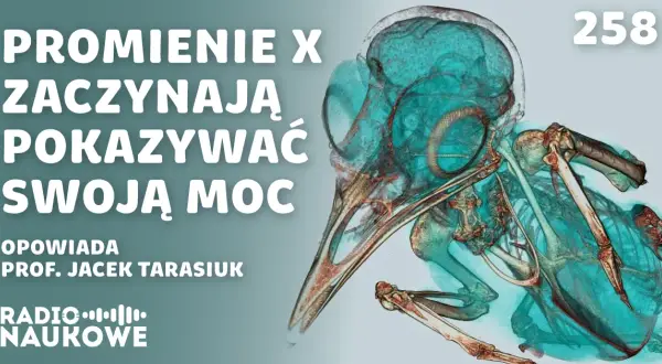 Kto wynalazł promienie X i jak zmieniły medycynę na zawsze?