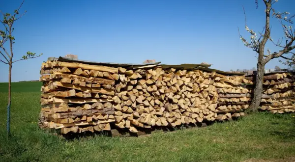 Ein großer Stapel gespaltenes Holz liegt im Freien, teilweise mit einer Plane zum holz abdecken oder nicht.