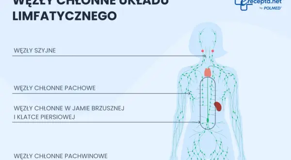 Schemat układu limfatycznego z zaznaczonymi węzłami chłonnymi szyjnymi, pachowymi, w jamie brzusznej i klatce piersiowej oraz pachwinowymi.