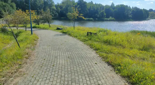 Ścieżka z kostki brukowej w Drawskim Parku Krajobrazowym prowadzi nad jezioro. Słońce odbija się od wody, a wokół bujna zieleń.