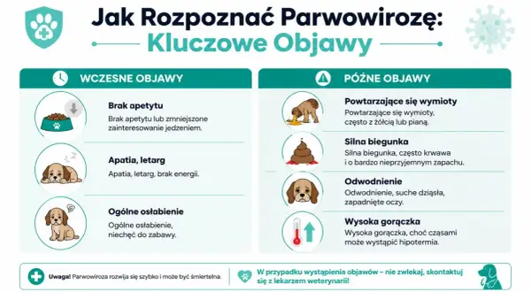 Wczesne i późne objawy parwowirozy u psa: brak apetytu, apatia, wymioty, biegunka, odwodnienie, gorączka. Szybka reakcja jest kluczowa.