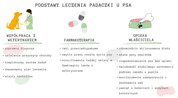 Lek na padaczkę dla psa to klucz do jego zdrowia. Na schemacie podstawy leczenia: współpraca z weterynarzem, farmakoterapia i opieka właściciela.