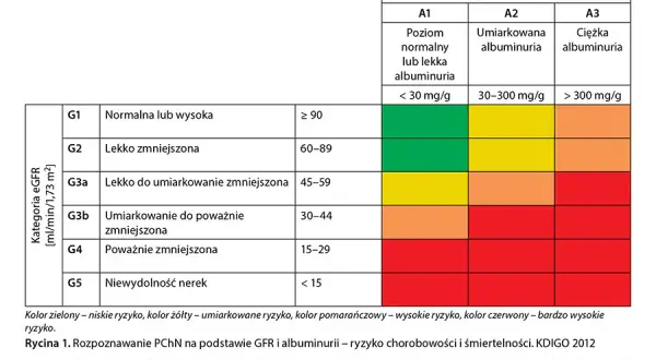 Choroba nerek jakie badania: kluczowe testy, które musisz znać