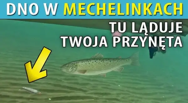 Mechelinki: Gdzie zjeść? Najlepsze ryby i widoki na Zatokę.