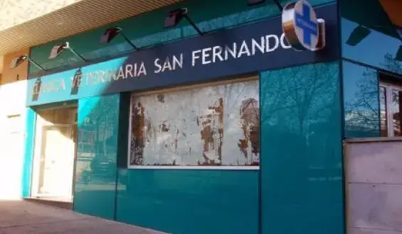 Veterinario San Fernando: Encuentra el mejor servicio para tu mascota