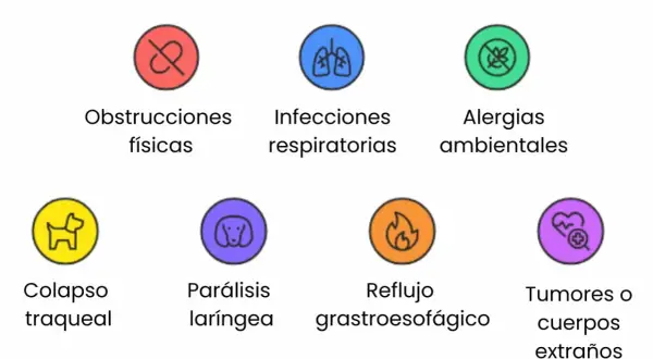 Iconos que ilustran causas de tos en perros: obstrucciones, infecciones, alergias, colapso traqueal, parálisis laríngea, reflujo y tumores.