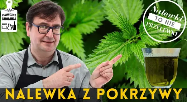 Jak zrobić nalewkę z pokrzywy – prosty przepis na zdrowy napój