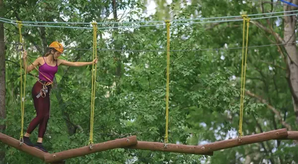 Park Linowy Szczytno: Planujesz wizytę? Sprawdź cennik i trasy!