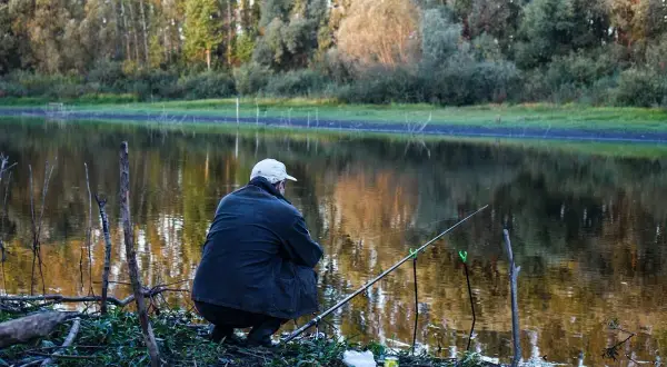 Wędkarz siedzi nad jeziorem, czekając aż tołpyga na co bierze. Słońce odbija się w wodzie, a za nim rozciąga się las.