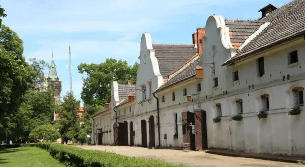 Stadnina koni Moszna – historia, atrakcje i wyjątkowe usługi