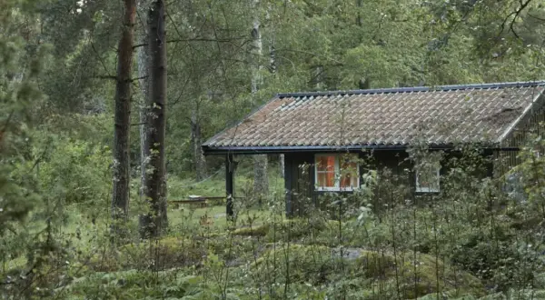 En mysig stuga i en grinda stugby, omgiven av grönskande skog och ormbunkar. Ljuset från fönstret lyser varmt.