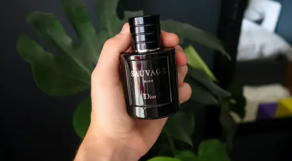 Dłoń trzyma flakon Dior Sauvage Elixir 60ml, otoczony zielonymi liśćmi.