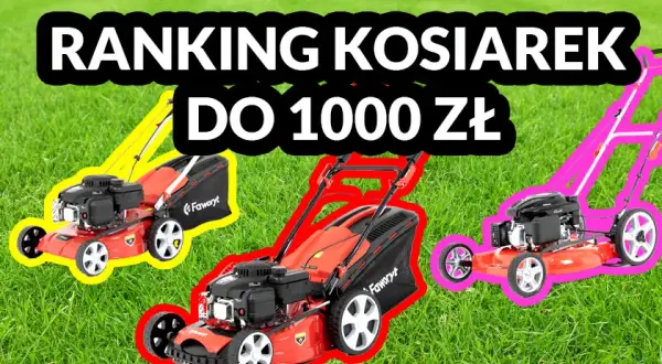 Kosiarka spalinowa do 1000 zł: Ranking i Poradnik Zakupowy