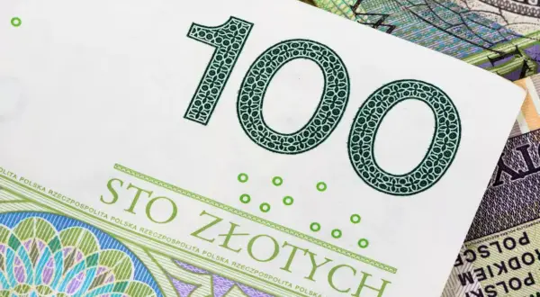 Sto złotych na polskim banknocie. Może to być kwota na podatek rolny lub inwestycję w gospodarstwo.