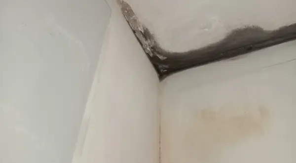 Angolo di una stanza con muffa e macchie d'acqua sul soffitto e sulla parete, un problema comune quando si cerca di come isolare una parete interna esposta a nord.